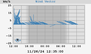 Wind Vector