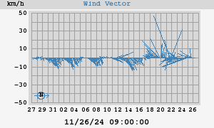 Wind Vector